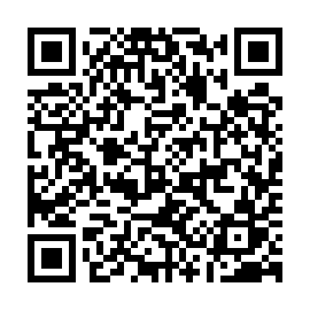 QR code for A335QR