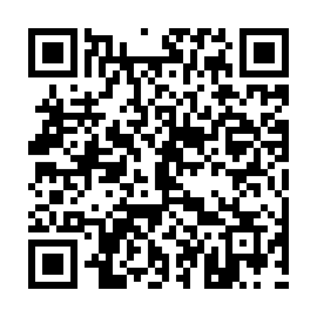 QR code for A419XS