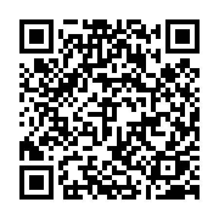 QR code for A4541P