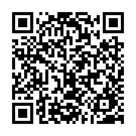 QR code for A533ZD