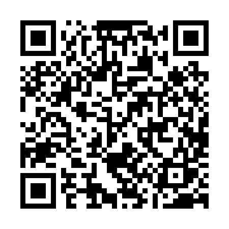 QR code for A6029S