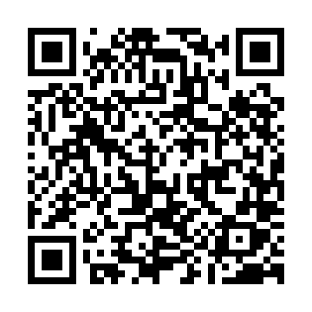 QR code for A951LX