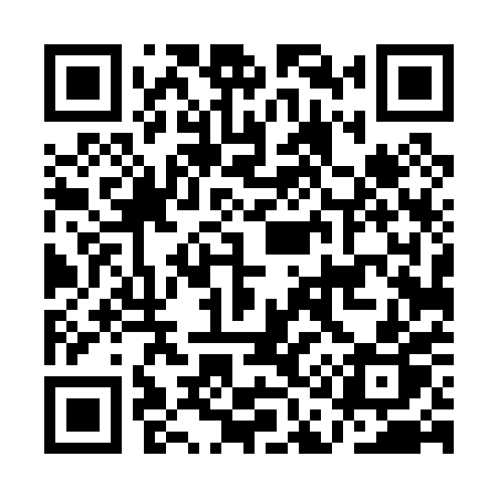 QR code for AA400P
