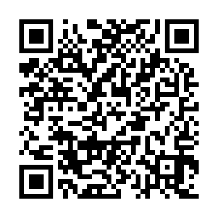 QR code for AANI13