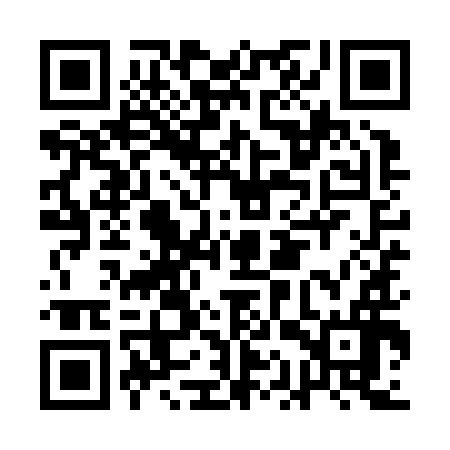 QR code for AAYZ96