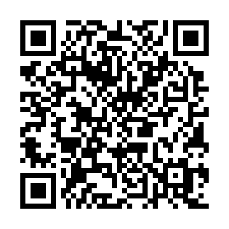 QR code for AD533M