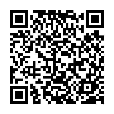 QR code for AO965L