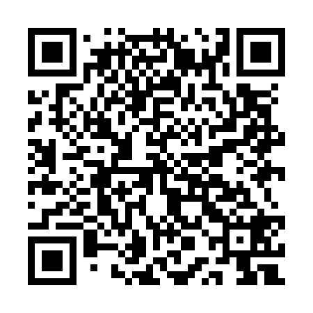 QR code for APIO28