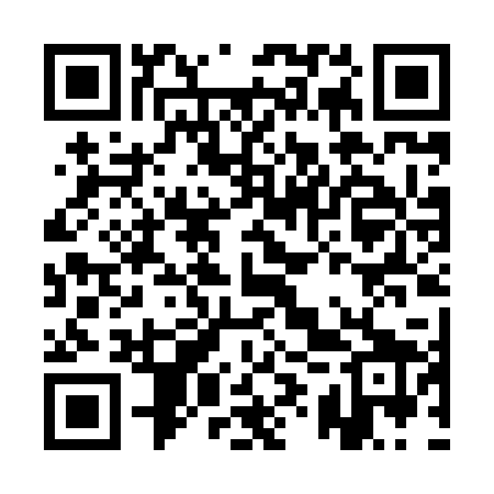 QR code for AYPH29
