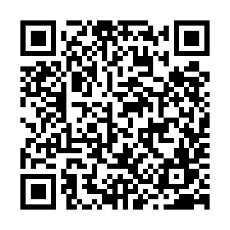 QR code for B335IV