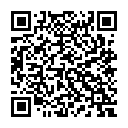 QR code for B411EM