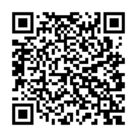 QR code for B463OI