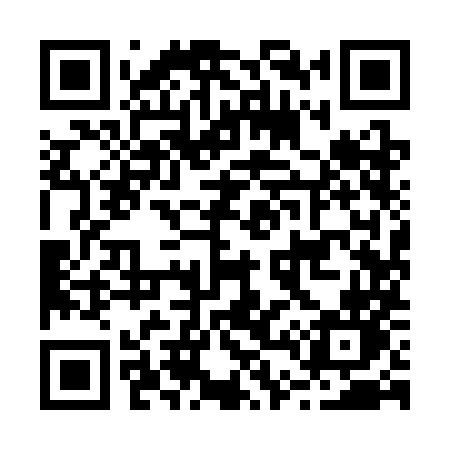 QR code for B493MN