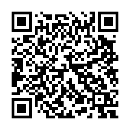 QR code for B5203S