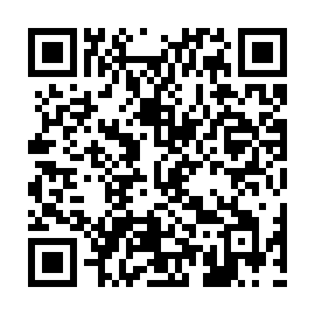 QR code for B593ZI