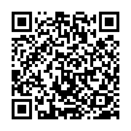 QR code for B8153Z