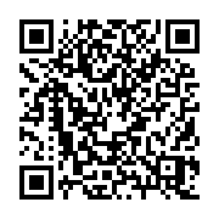 QR code for B919PR