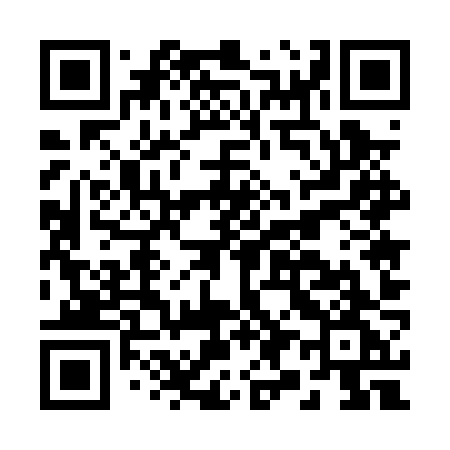 QR code for B950ZG