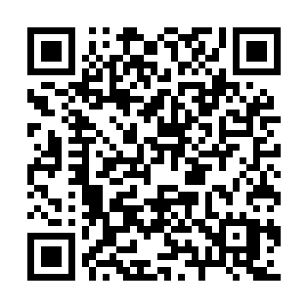 QR code for B95MCU