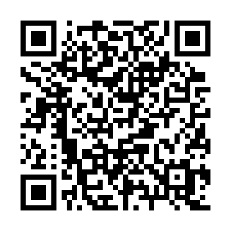 QR code for B963SM