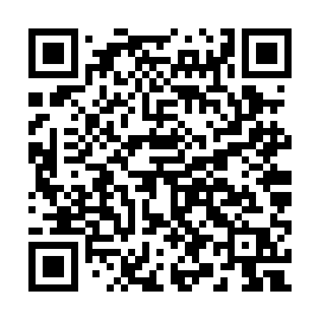QR code for B96PAP