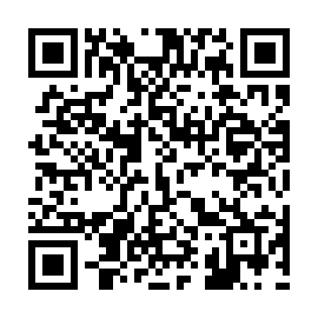 QR code for B991IR
