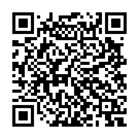 QR code for BI207R