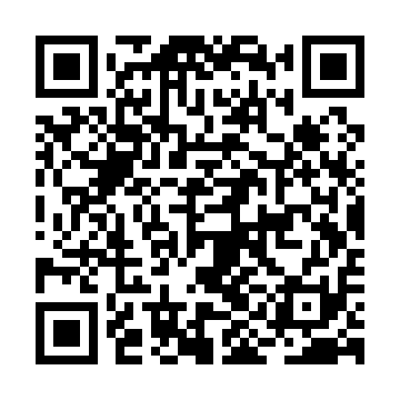 QR code for BICQ11