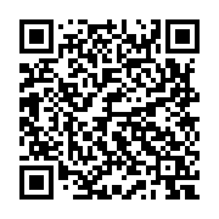 QR code for BT395S