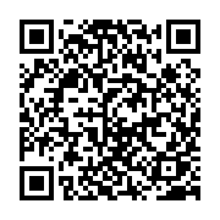 QR code for BT919P