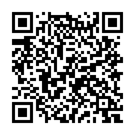 QR code for BV95XA