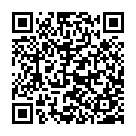 QR code for C0489T