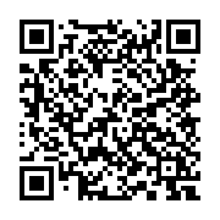 QR code for C100TX
