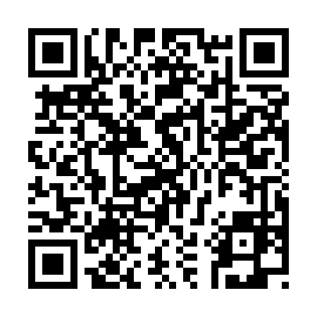 QR code for C11UDD
