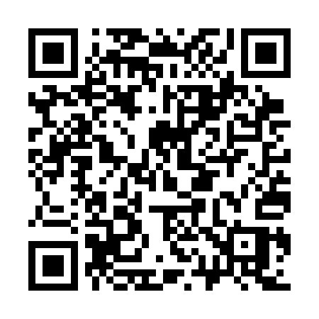 QR code for C17SAS