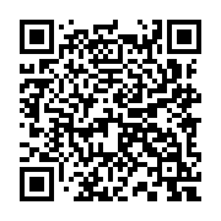 QR code for C289IN