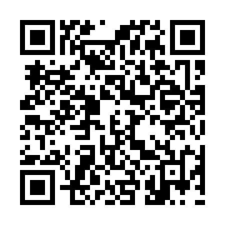 QR code for C2919N