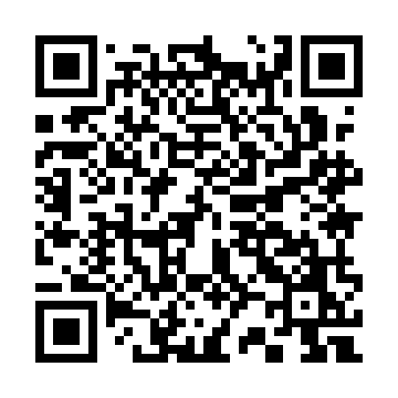QR code for C291MO