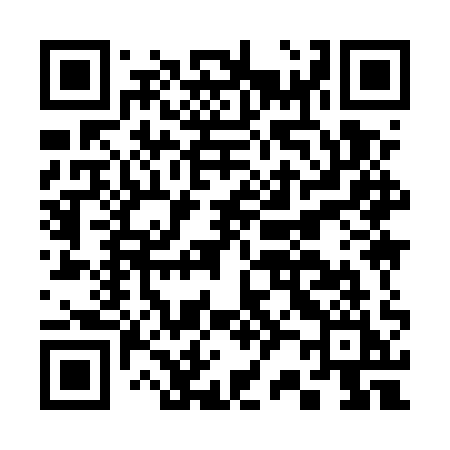 QR code for C295QI
