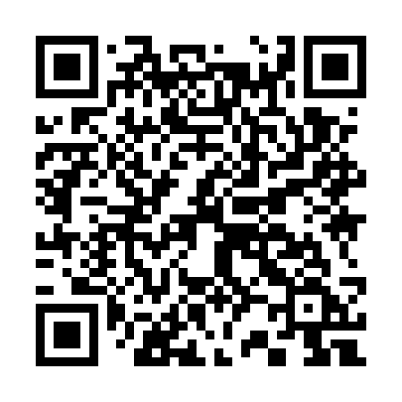 QR code for C295SF