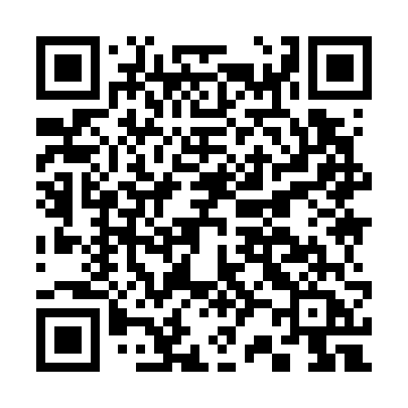 QR code for C2976A