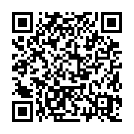 QR code for C313HU