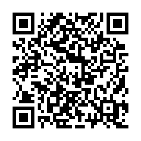 QR code for C313VD