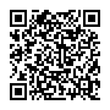 QR code for C339DL