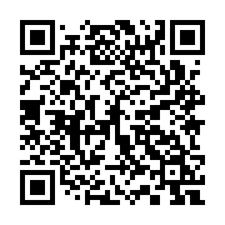 QR code for C391ZN