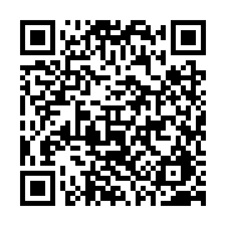 QR code for C393RG