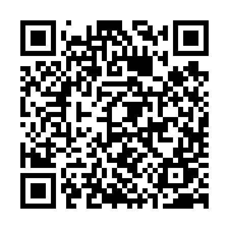 QR code for C5265T