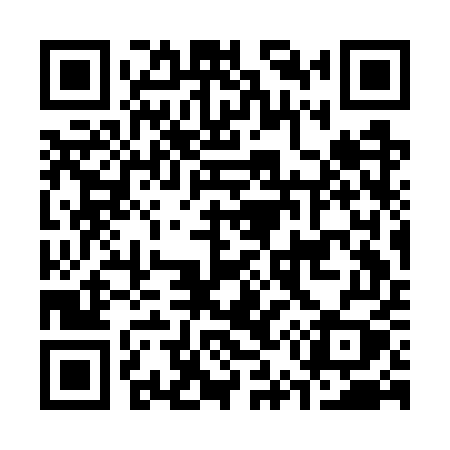 QR code for C53GUY