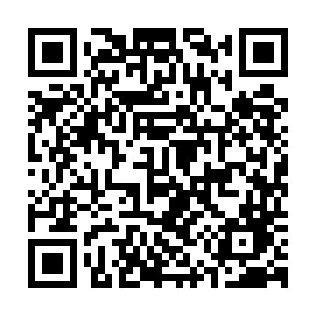 QR code for C595DD