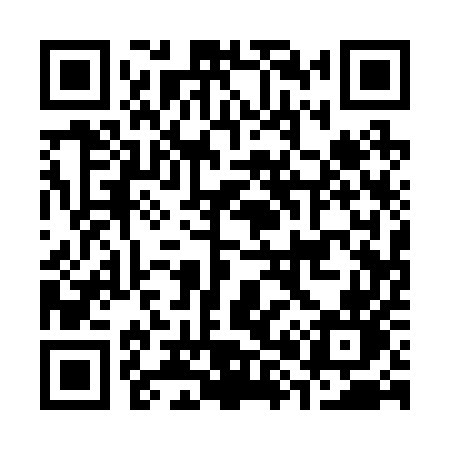 QR code for C8125N